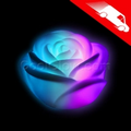 LED Waterproof Color Morphing Rose Mood Light